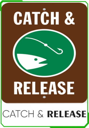 Catch & Release рыбалка