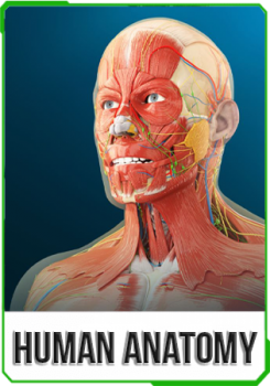 Human Anatomy VR v.1.0